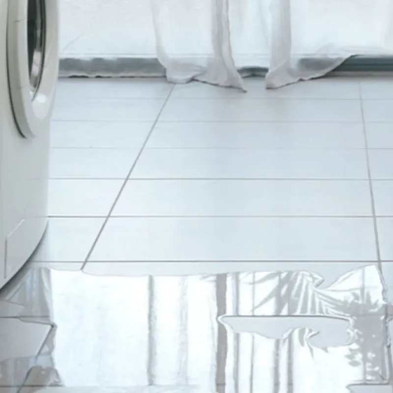 Appliance Leak Cleanup in Richmond, MN