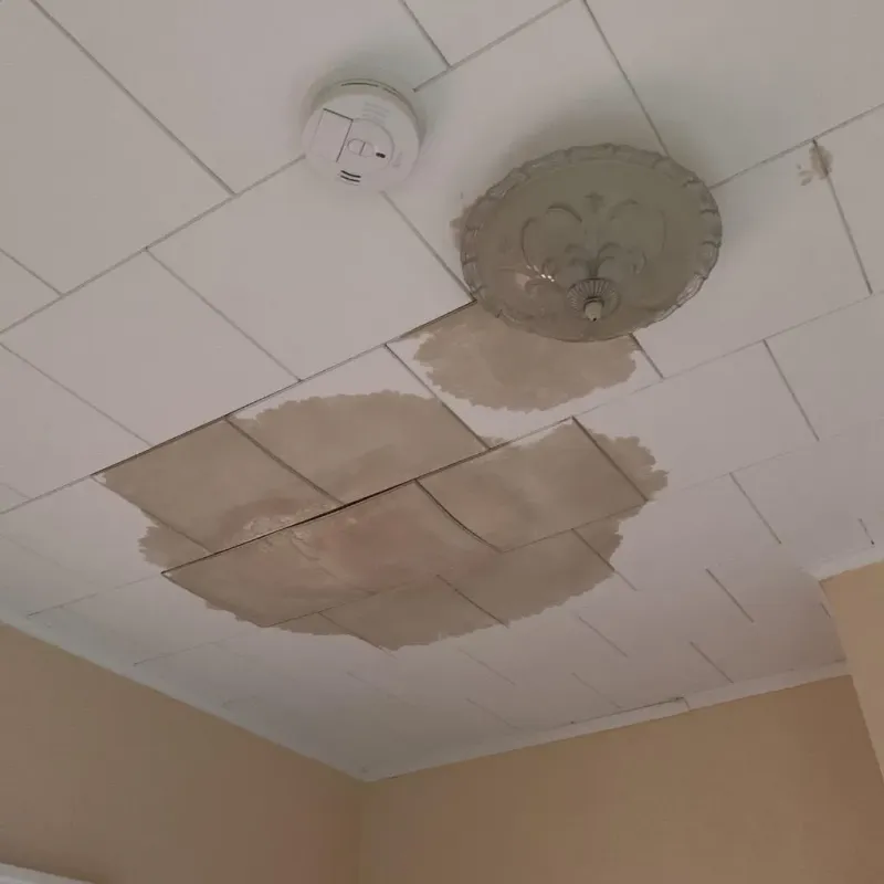 Ceiling Water Damage Repair in Richmond, MN