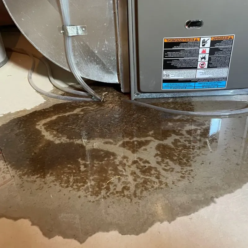 Pipe Burst and Leak Restoration in Richmond, MN